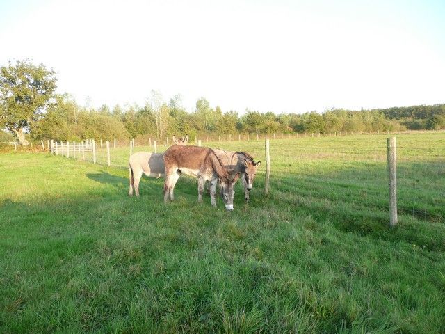 Balthazar et leonard Arrivee (24).jpg